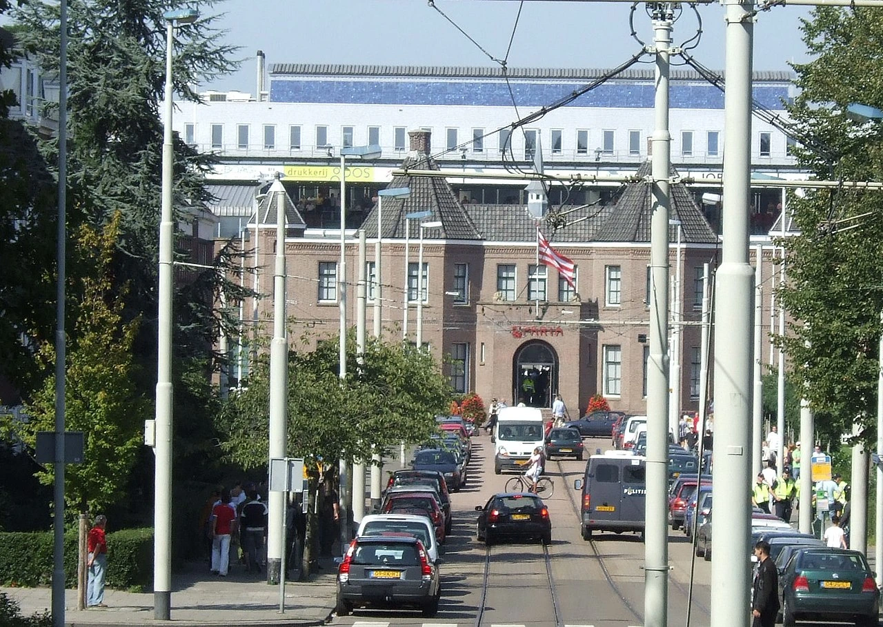Gras Sparta: identificatie, oorzaken en herstelplan